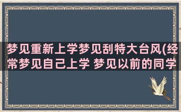 梦见重新上学梦见刮特大台风(经常梦见自己上学 梦见以前的同学)